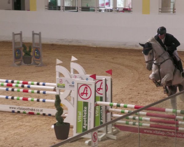 Springturnier Stadl Paura 2023