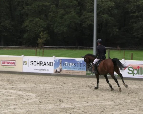 Reitturnier Essen - Herbstturnier 2023