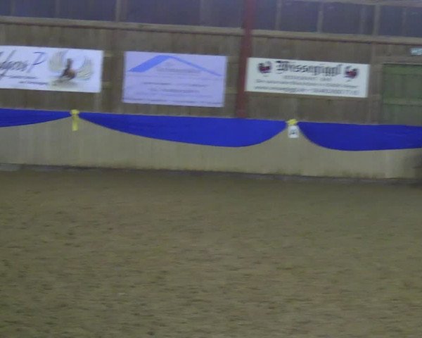 Reitturnier Villmar 2023