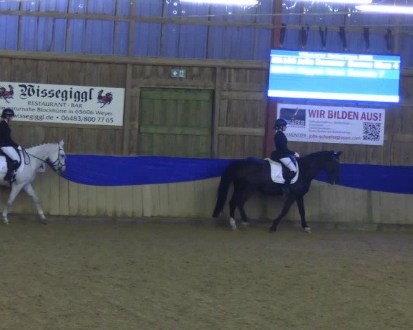 Reitturnier Villmar 2023