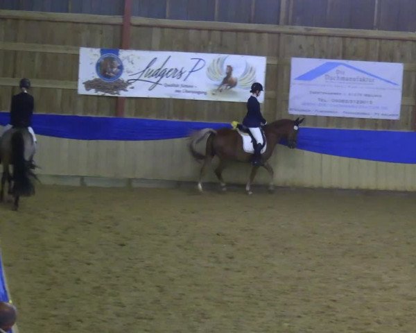 Reitturnier Villmar 2023