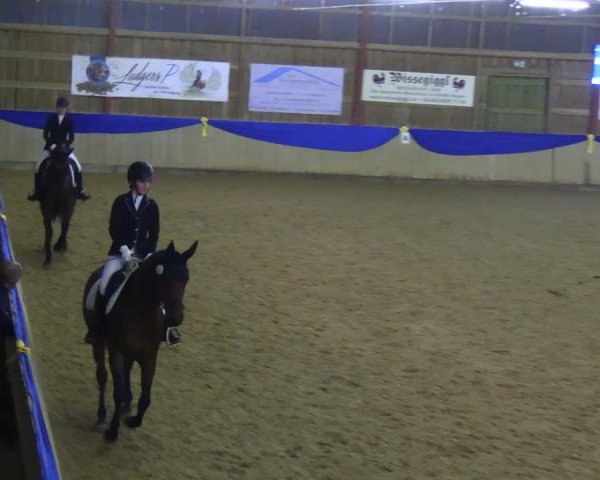 Reitturnier Villmar 2023
