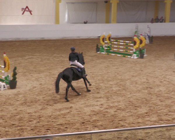 Springturnier Stadl Paura 2023