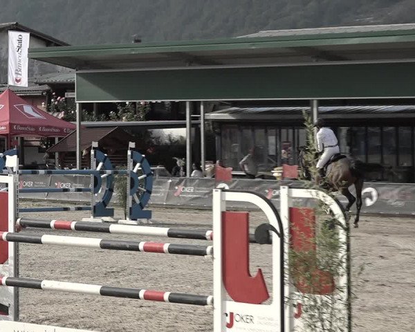 Reitturnier Giubiasco 2023