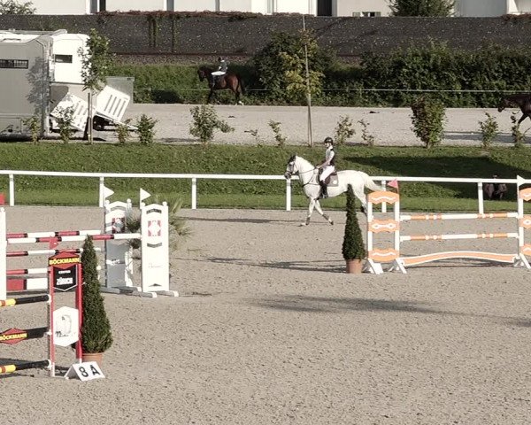 Pferdesporttage Bülach 2021