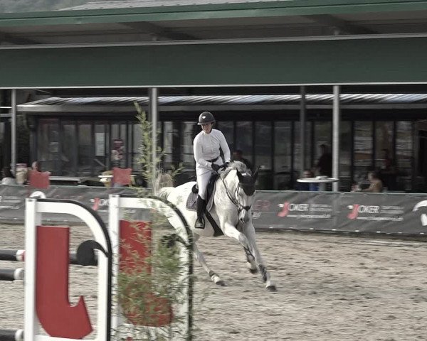 Reitturnier Giubiasco 2023
