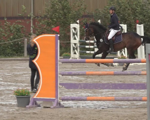 Reitturnier Handorf 2023