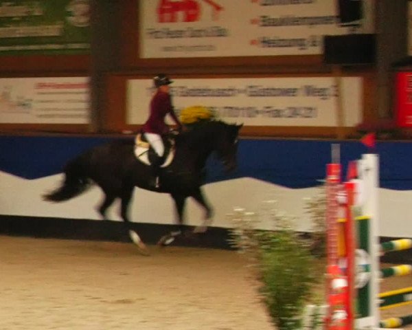 Reitturnier Gadebusch 2023
