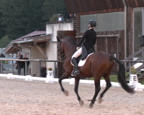 Dressurturnier Igls 2023