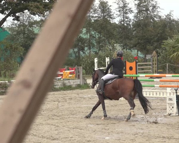 Reitturnier Handorf 2023