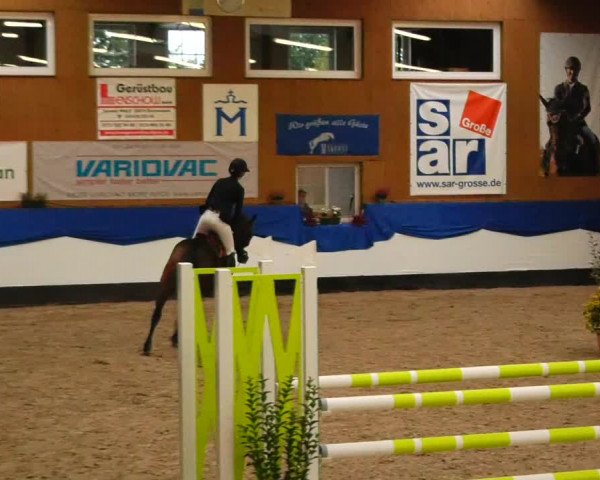 Reitturnier Gadebusch 2023