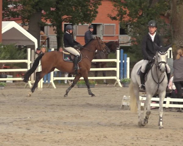 Reitturnier Handorf 2023