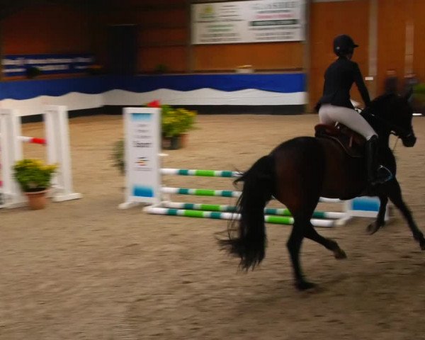 Reitturnier Gadebusch 2023