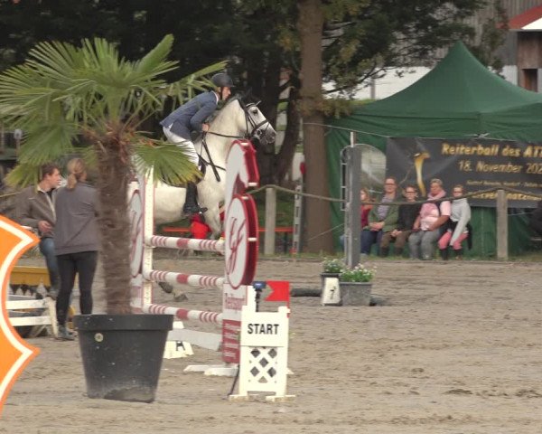 Reitturnier Handorf 2023
