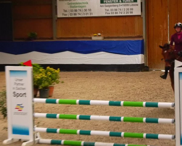 Reitturnier Gadebusch 2023