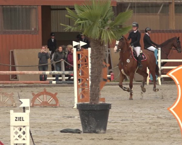 Reitturnier Handorf 2023