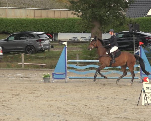 Reitturnier Handorf 2023