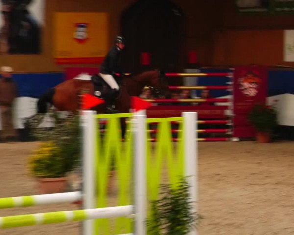 Reitturnier Gadebusch 2023