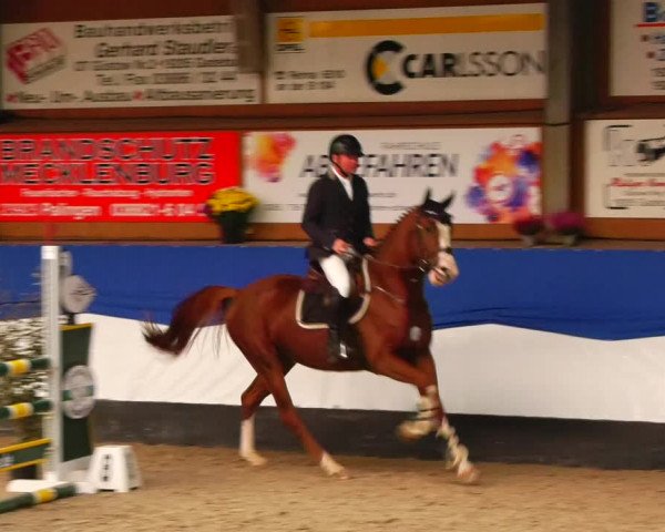 Reitturnier Gadebusch 2023