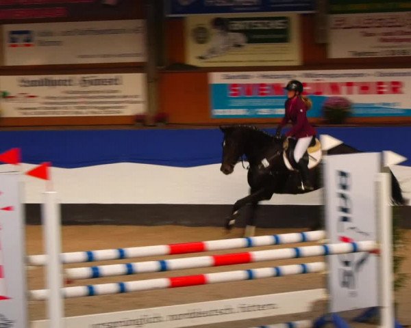 Reitturnier Gadebusch 2023