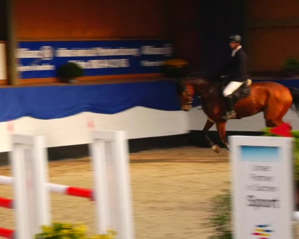 Reitturnier Gadebusch 2023