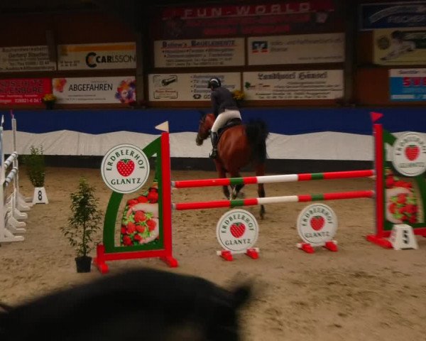 Reitturnier Gadebusch 2023