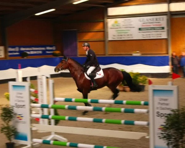 Reitturnier Gadebusch 2023