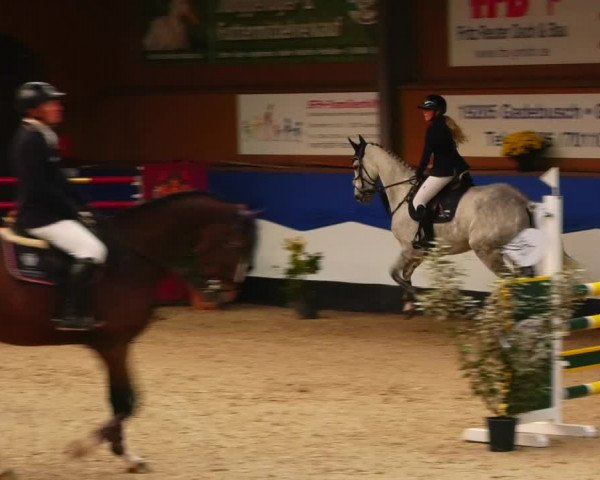Reitturnier Gadebusch 2023