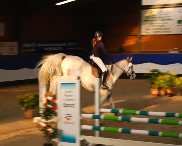Reitturnier Gadebusch 2023