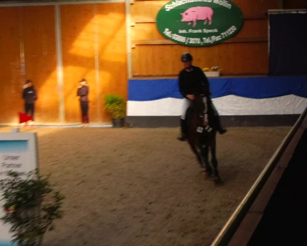 Reitturnier Gadebusch 2023