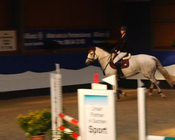 Reitturnier Gadebusch 2023
