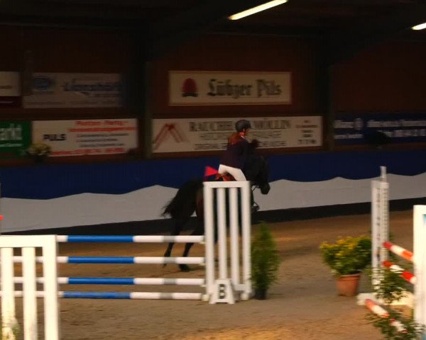 Reitturnier Gadebusch 2023