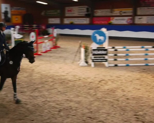 Reitturnier Gadebusch 2023
