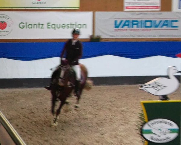 Reitturnier Gadebusch 2023