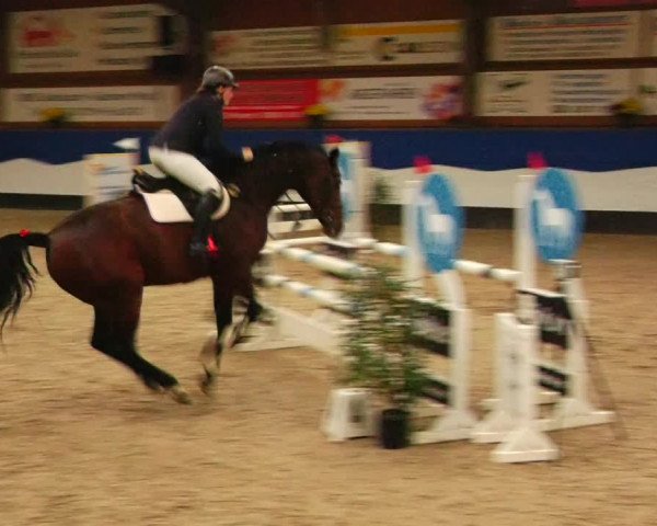Reitturnier Gadebusch 2023
