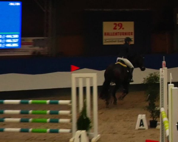 Reitturnier Gadebusch 2023