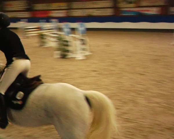 Reitturnier Gadebusch 2023