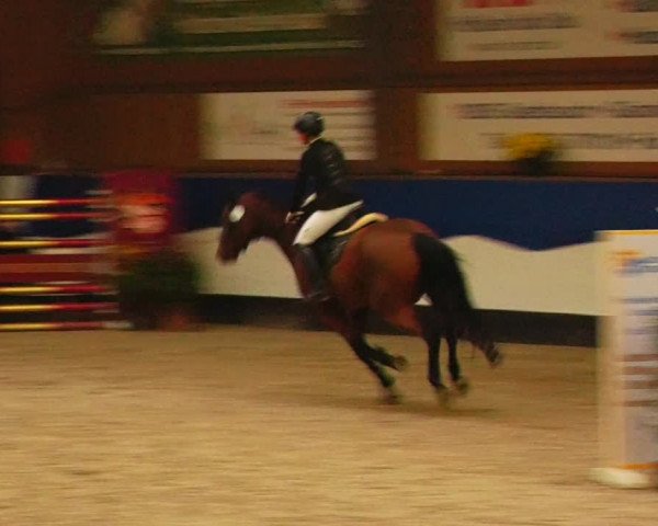 Reitturnier Gadebusch 2023