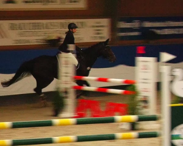 Reitturnier Gadebusch 2023