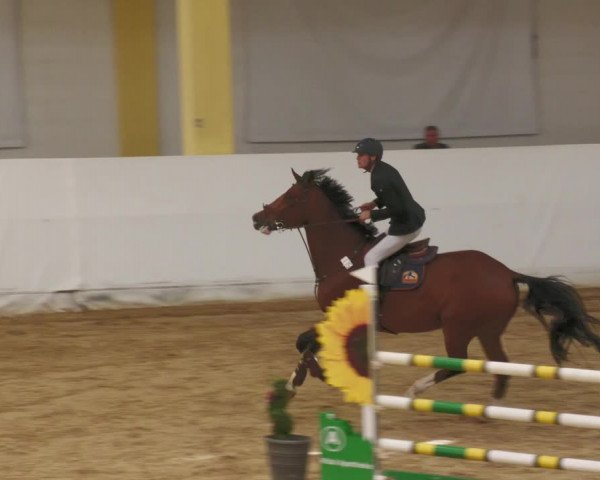 Springturnier Stadl Paura 2023