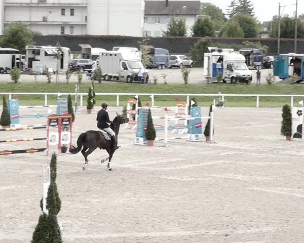 Pferdesporttage Bülach 2021