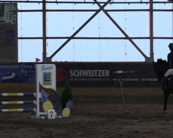 Reitturnier Pausin 2023
