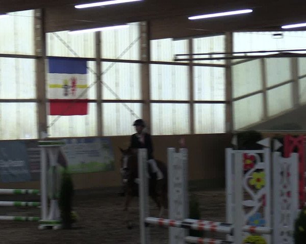 Reitturnier Pausin 2023
