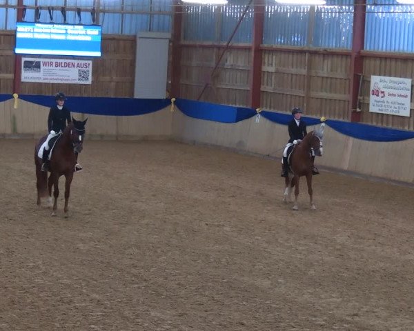 Reitturnier Villmar 2023