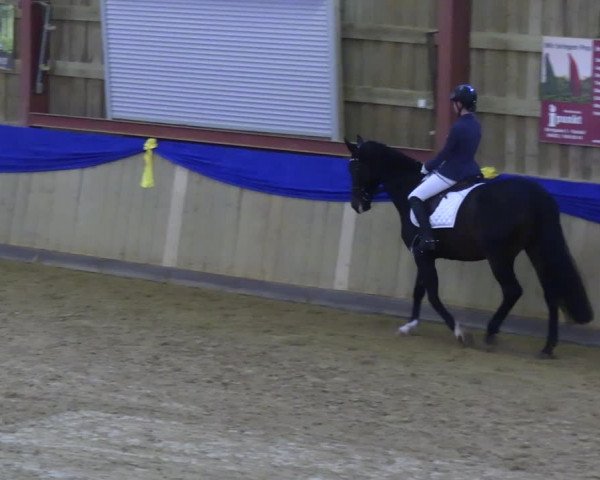 Reitturnier Villmar 2023