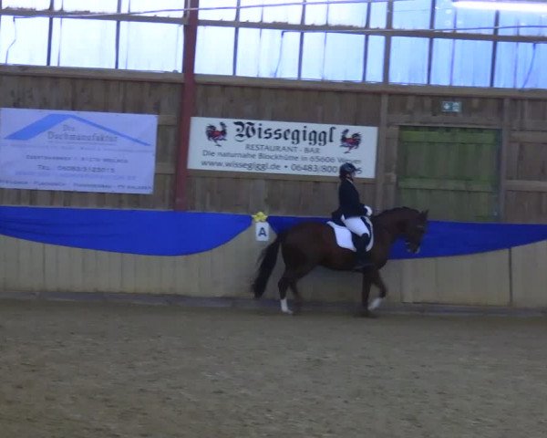 Reitturnier Villmar 2023