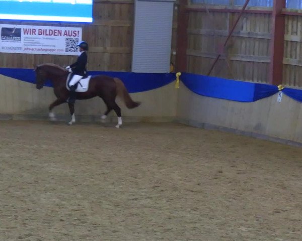 Reitturnier Villmar 2023
