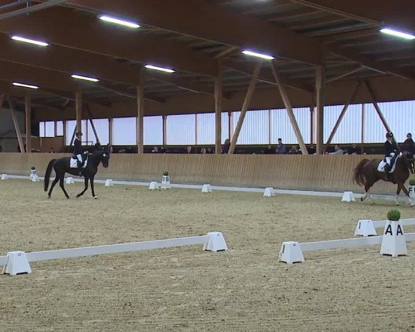 Reitturnier Grafenrheinfeld/Ufr. 2023