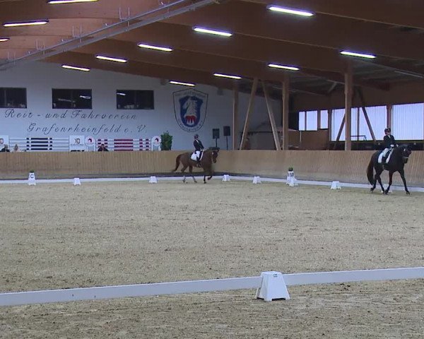 Reitturnier Grafenrheinfeld/Ufr. 2023