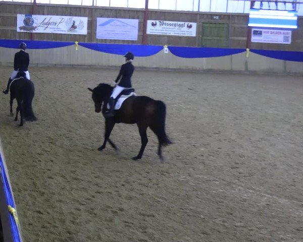 Reitturnier Villmar 2023